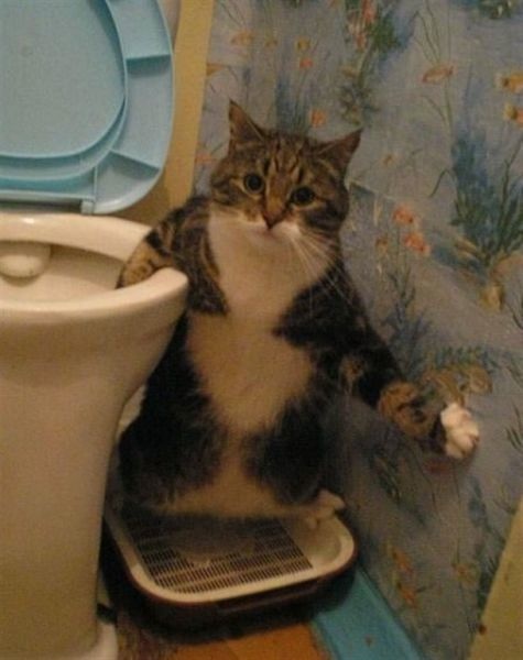 Bildschirmarbeiter - Picdump 25.10.2013