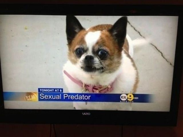 Bildschirmarbeiter - Picdump 25.10.2013