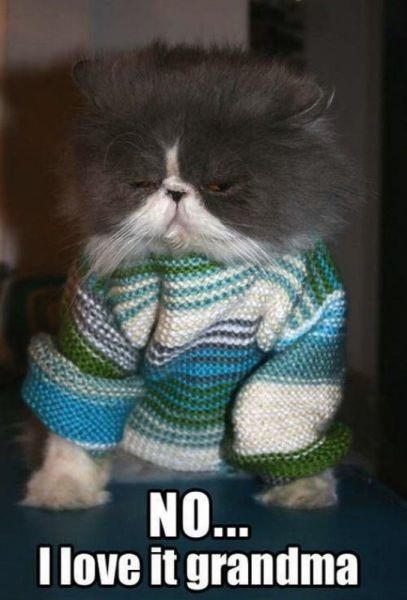 Bildschirmarbeiter - Picdump 25.10.2013