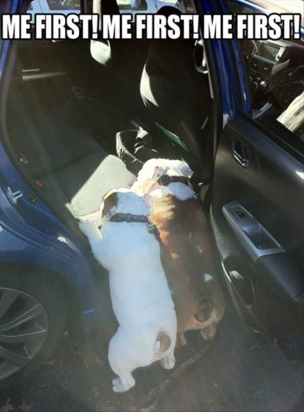 Bildschirmarbeiter - Picdump 25.10.2013