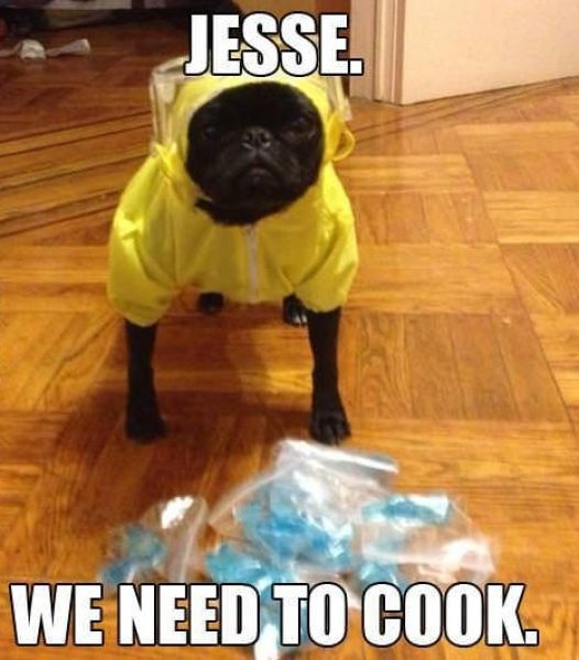 Bildschirmarbeiter - Picdump 25.10.2013