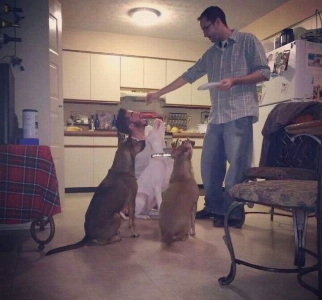 Bildschirmarbeiter - Picdump 25.10.2013