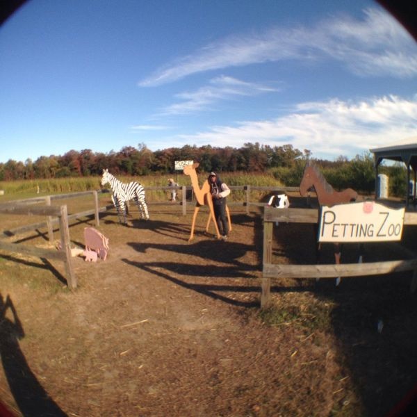 Bildschirmarbeiter - Picdump 25.10.2013