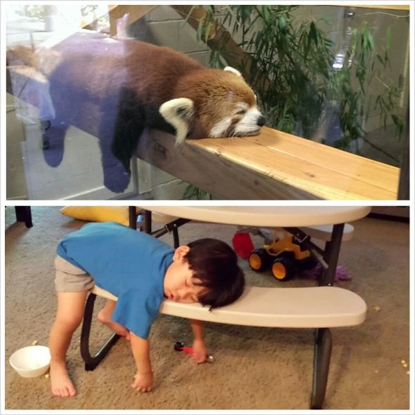 Bildschirmarbeiter - Picdump 25.10.2013