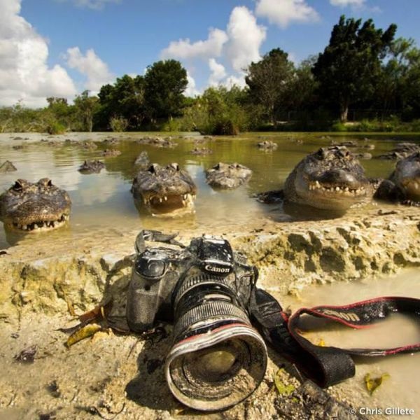 Bildschirmarbeiter - Picdump 25.10.2013