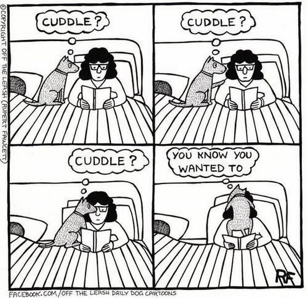 Bildschirmarbeiter - Picdump 25.10.2013