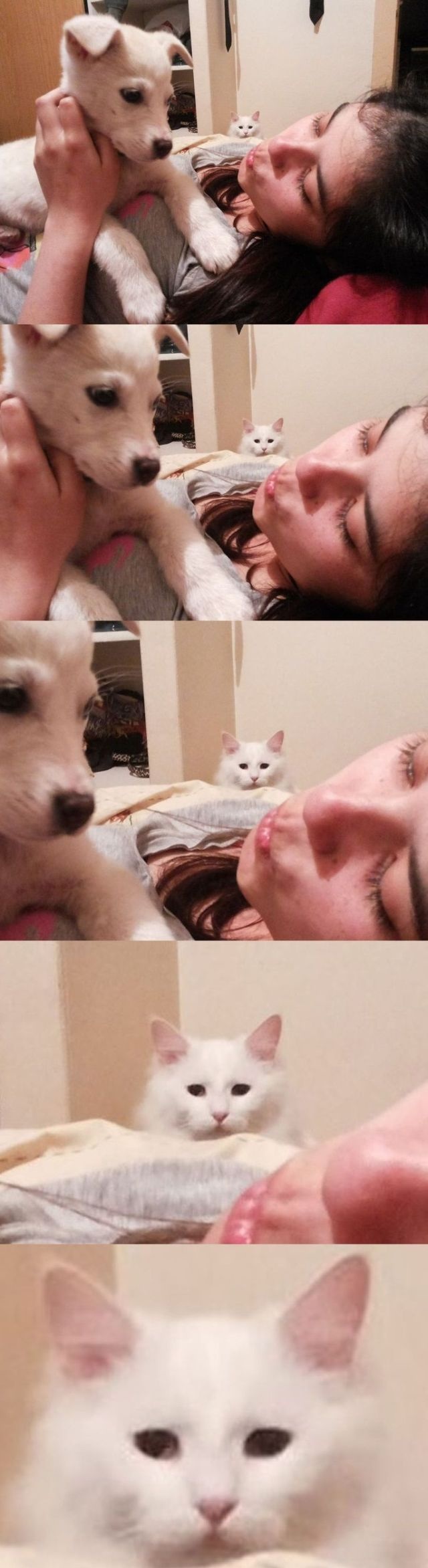 Bildschirmarbeiter - Picdump 25.10.2013