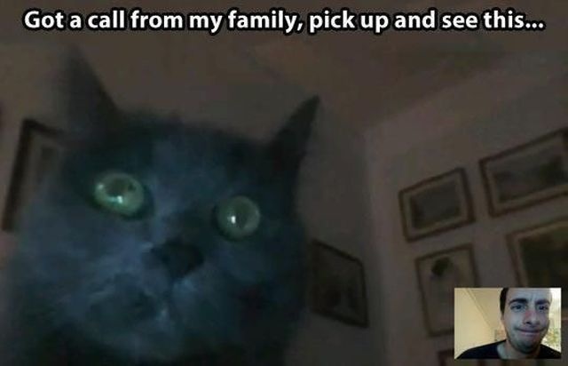 Bildschirmarbeiter - Picdump 01.11.2013