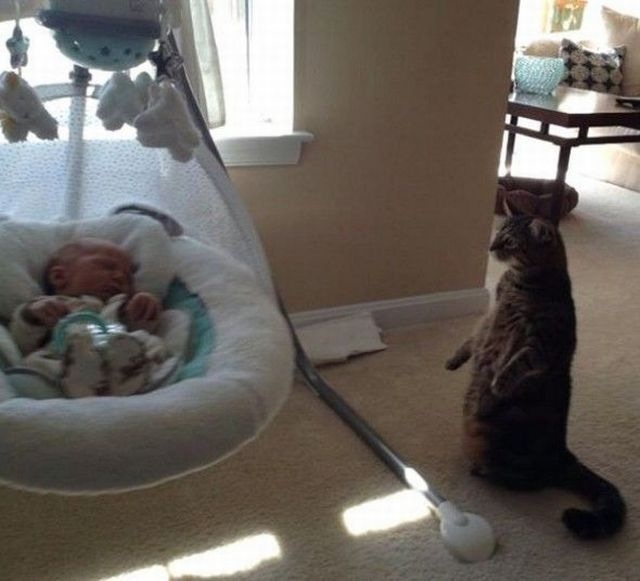 Bildschirmarbeiter - Picdump 01.11.2013