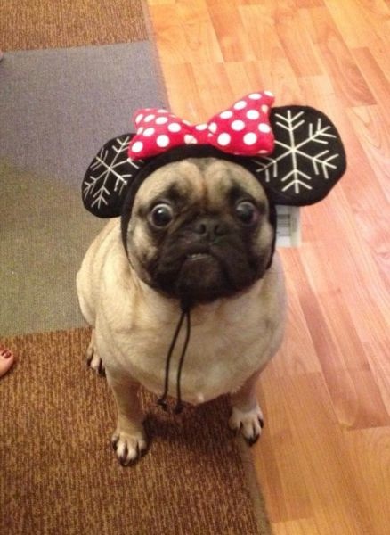 Bildschirmarbeiter - Picdump 01.11.2013