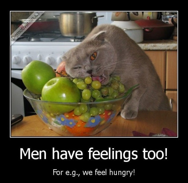 Bildschirmarbeiter - Picdump 01.11.2013