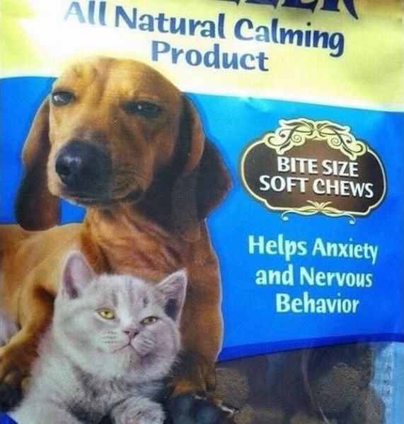 Bildschirmarbeiter - Picdump 01.11.2013