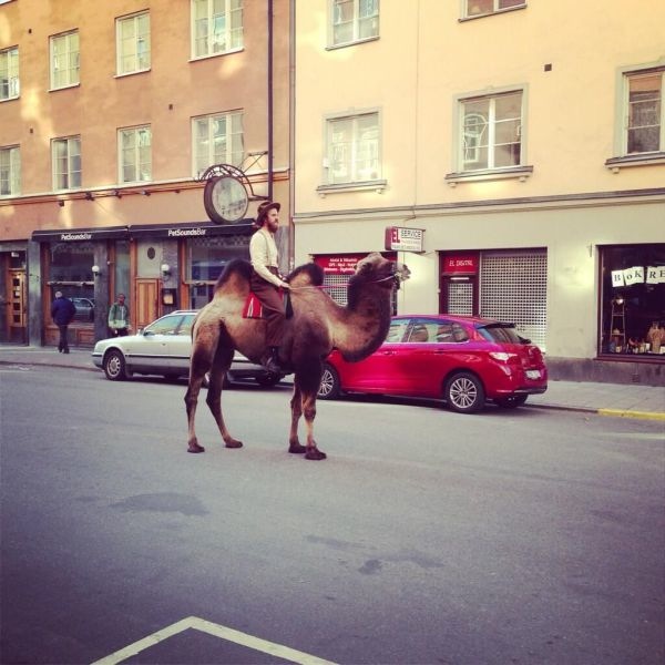 Bildschirmarbeiter - Picdump 01.11.2013