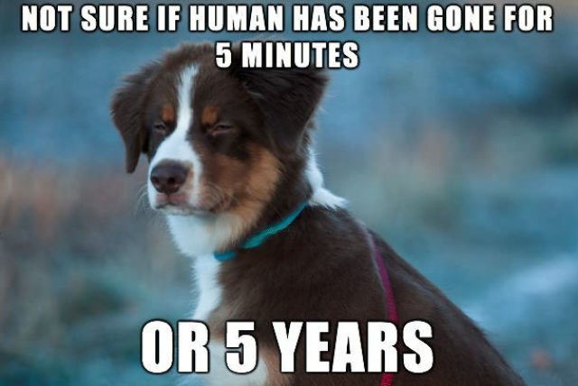 Bildschirmarbeiter - Picdump 01.11.2013