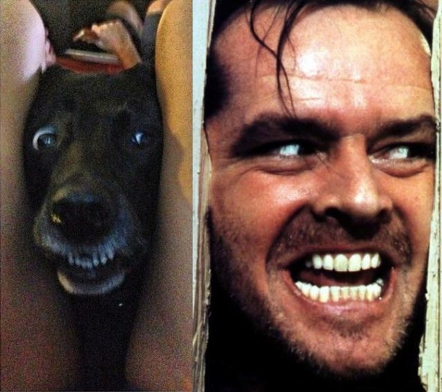 Bildschirmarbeiter - Picdump 01.11.2013