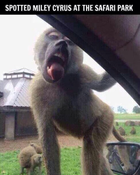 Bildschirmarbeiter - Picdump 01.11.2013