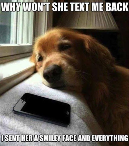 Bildschirmarbeiter - Picdump 01.11.2013