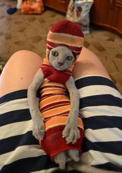 Bildschirmarbeiter - Picdump 08.11.2013