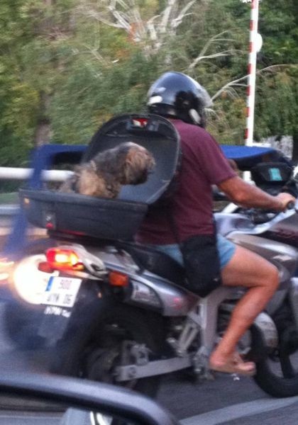 Bildschirmarbeiter - Picdump 08.11.2013