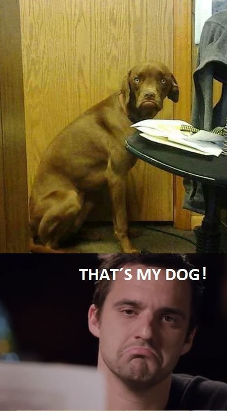 Bildschirmarbeiter - Picdump 08.11.2013