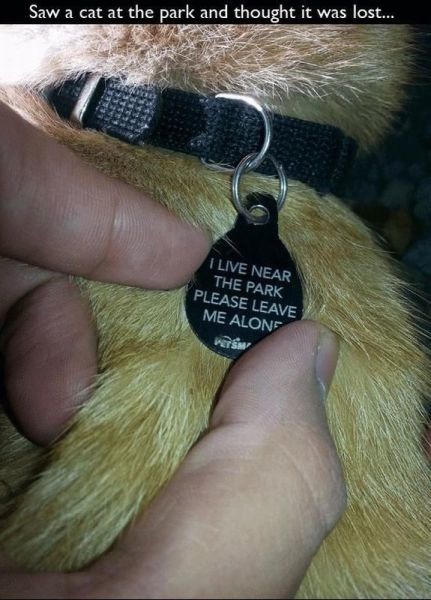 Bildschirmarbeiter - Picdump 08.11.2013