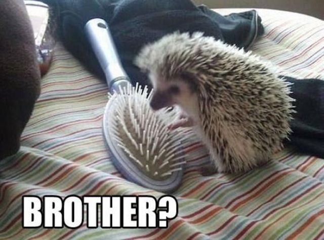 Bildschirmarbeiter - Picdump 08.11.2013