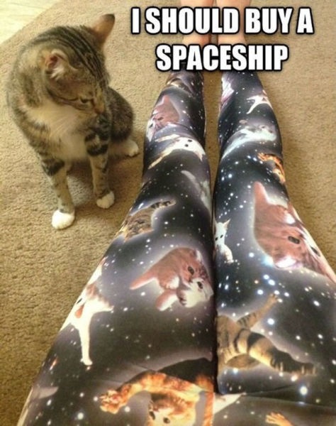 Bildschirmarbeiter - Picdump 08.11.2013