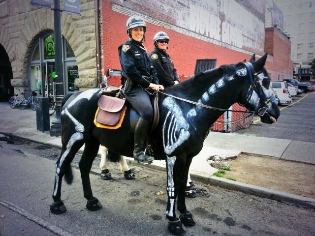 Bildschirmarbeiter - Picdump 08.11.2013