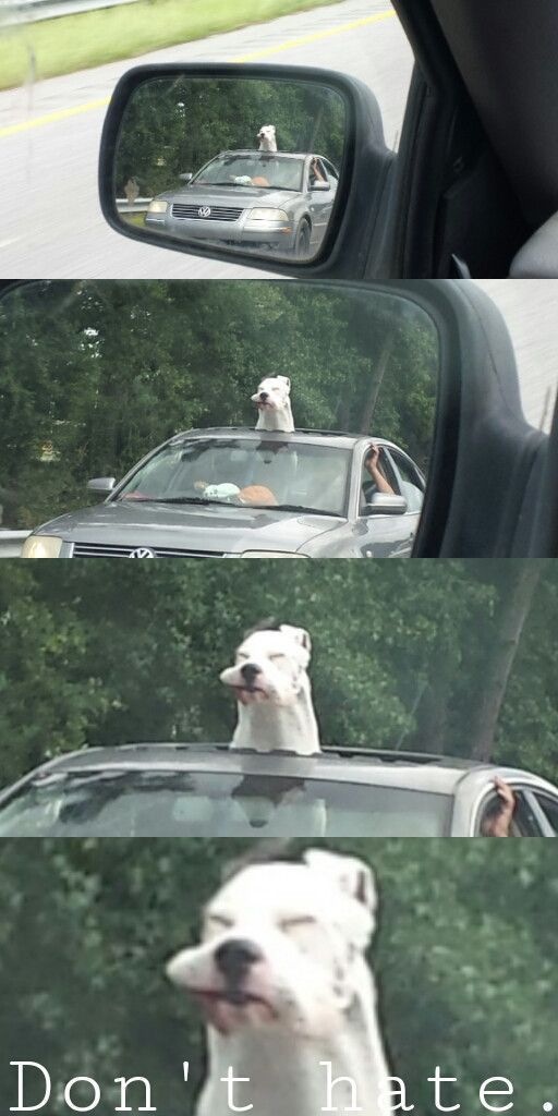 Bildschirmarbeiter - Picdump 08.11.2013