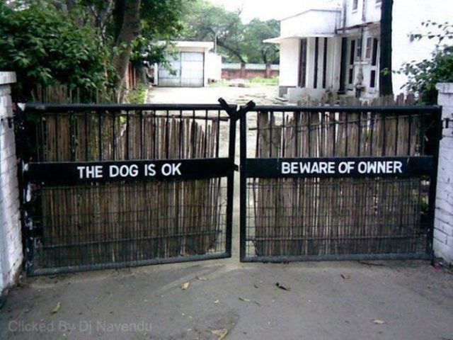 Bildschirmarbeiter - Picdump 08.11.2013