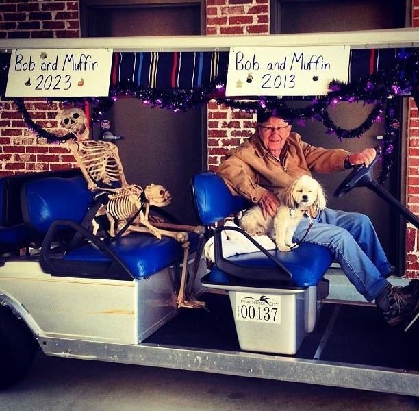 Bildschirmarbeiter - Picdump 08.11.2013