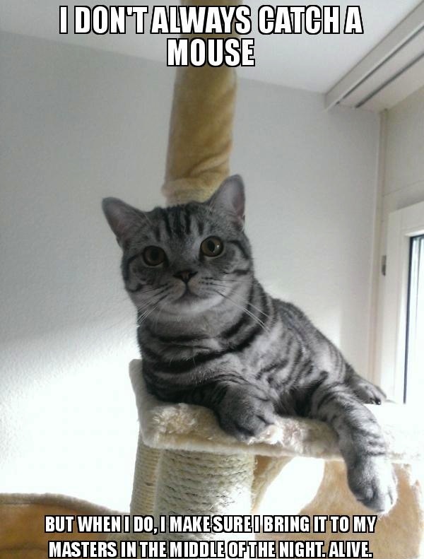 Bildschirmarbeiter - Picdump 08.11.2013