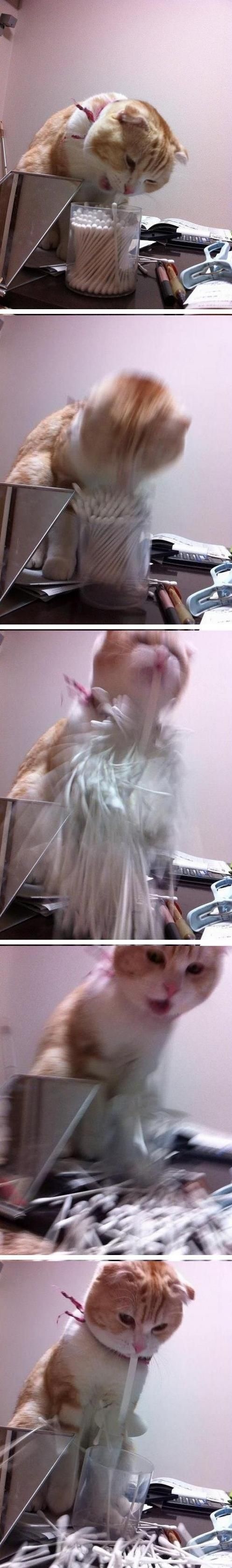 Bildschirmarbeiter - Picdump 08.11.2013