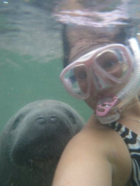 Bildschirmarbeiter - Picdump 15.11.2013