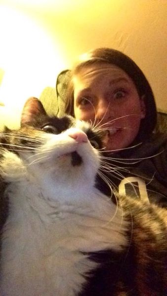 Bildschirmarbeiter - Picdump 15.11.2013