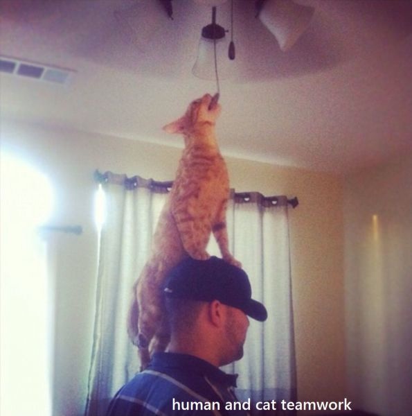 Bildschirmarbeiter - Picdump 15.11.2013