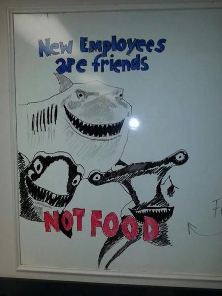 Bildschirmarbeiter - Picdump 15.11.2013