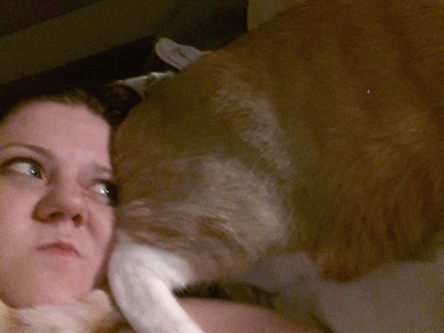 Bildschirmarbeiter - Picdump 15.11.2013