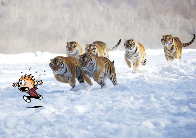 Bildschirmarbeiter - Picdump 15.11.2013