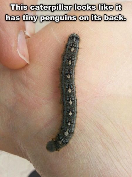 Bildschirmarbeiter - Picdump 15.11.2013