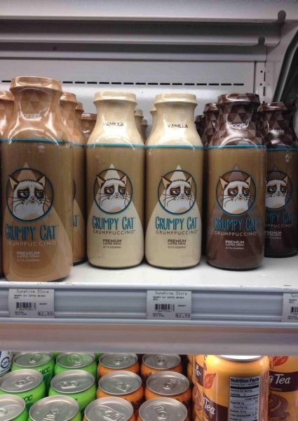 Bildschirmarbeiter - Picdump 15.11.2013