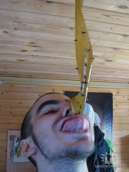 Bildschirmarbeiter - Picdump 15.11.2013