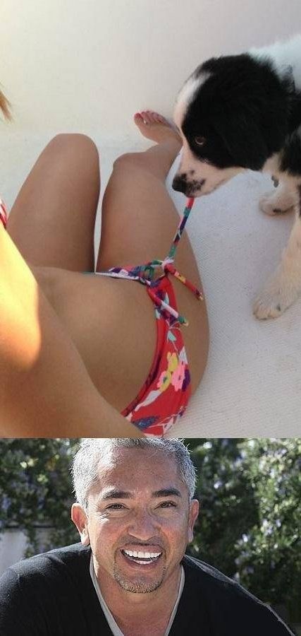 Bildschirmarbeiter - Picdump 15.11.2013