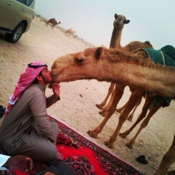 Bildschirmarbeiter - Picdump 15.11.2013