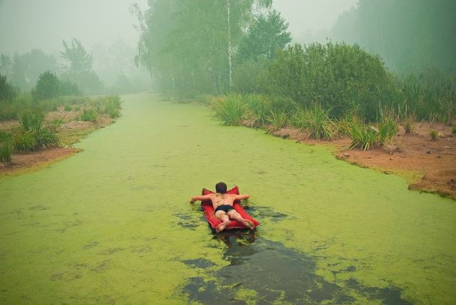 Bildschirmarbeiter - Picdump 15.11.2013