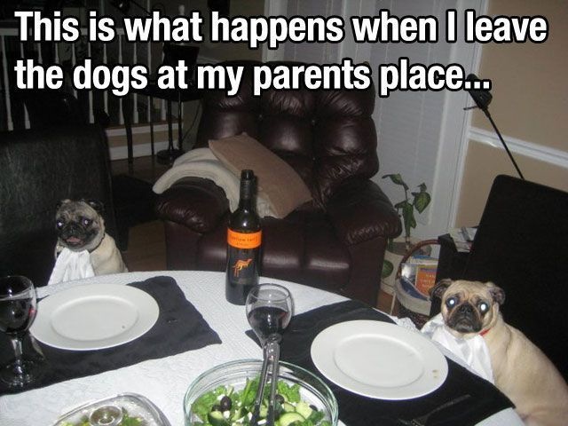 Bildschirmarbeiter - Picdump 15.11.2013