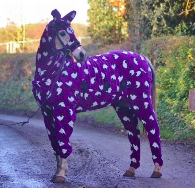 Bildschirmarbeiter - Picdump 15.11.2013