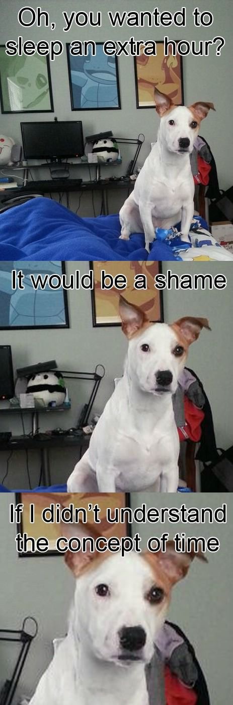 Bildschirmarbeiter - Picdump 15.11.2013