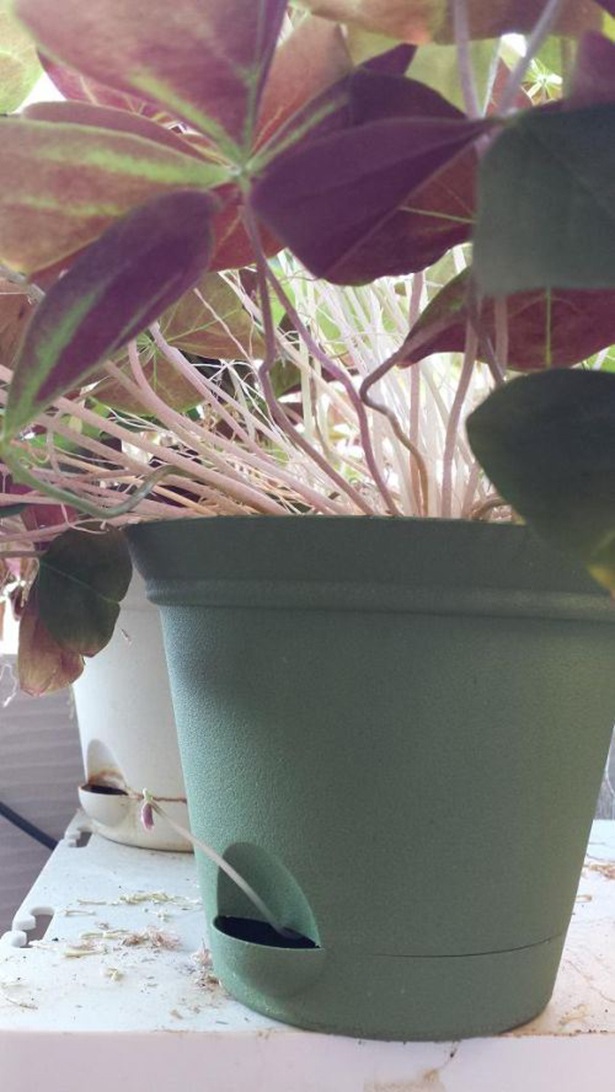 Bildschirmarbeiter - Picdump 15.11.2013