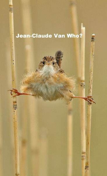 Bildschirmarbeiter - Picdump 22.11.2013